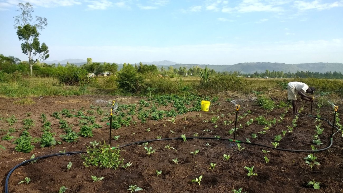 IMG_20180124_090149132_HDR-edited-2048x1152-1