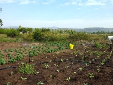 IMG_20180124_090149132_HDR-edited-2048x1152-1